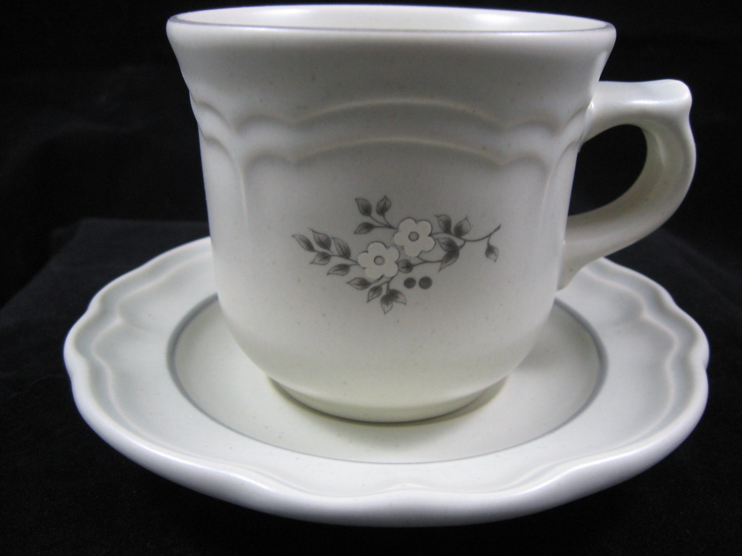 Pfaltzgraff Heirloom Pattern Flat Cup and Saucer Set Made In