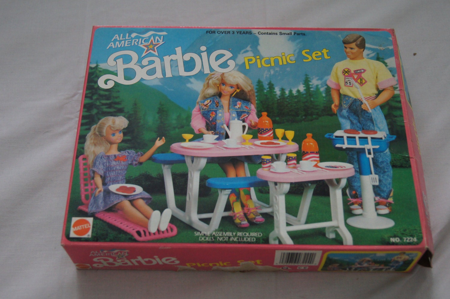 barbie picnic car