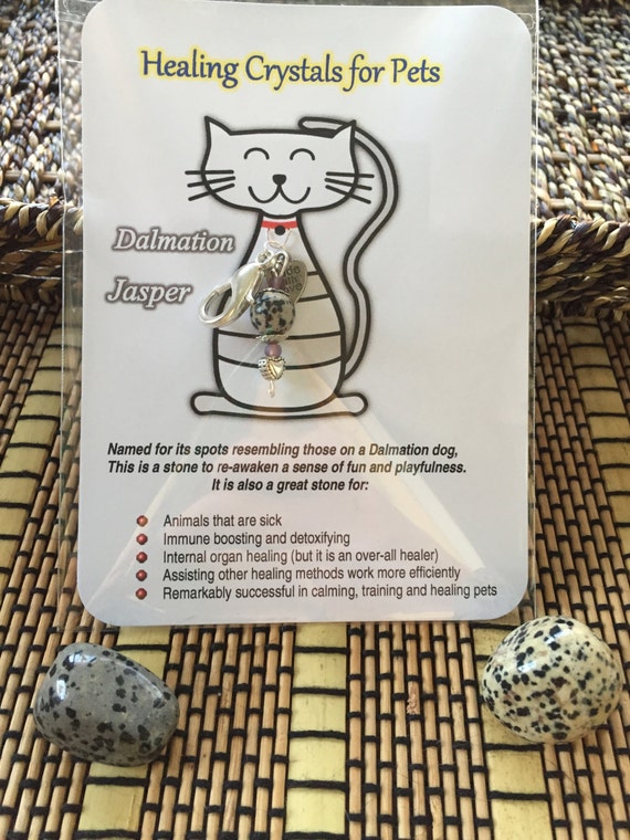 DALMATION JASPER Healing Crystal Pet Charm