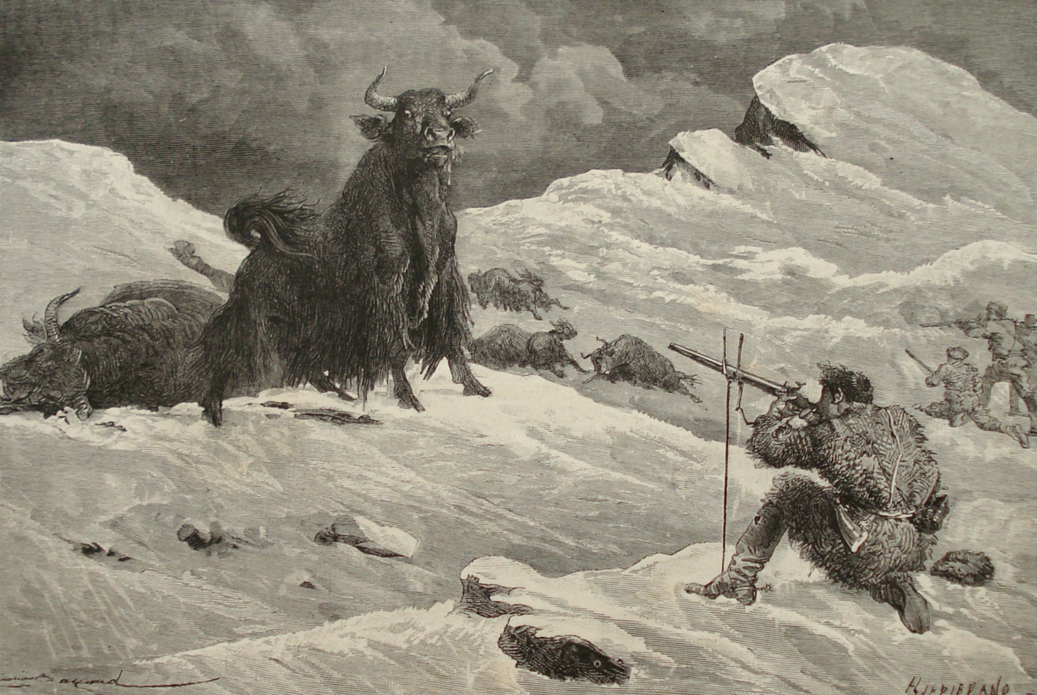 Yak hunting in the Himalayas original 1877 print Tibet 138