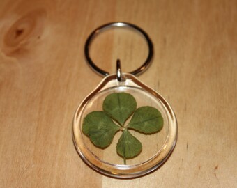 four leaf clover crowntakers