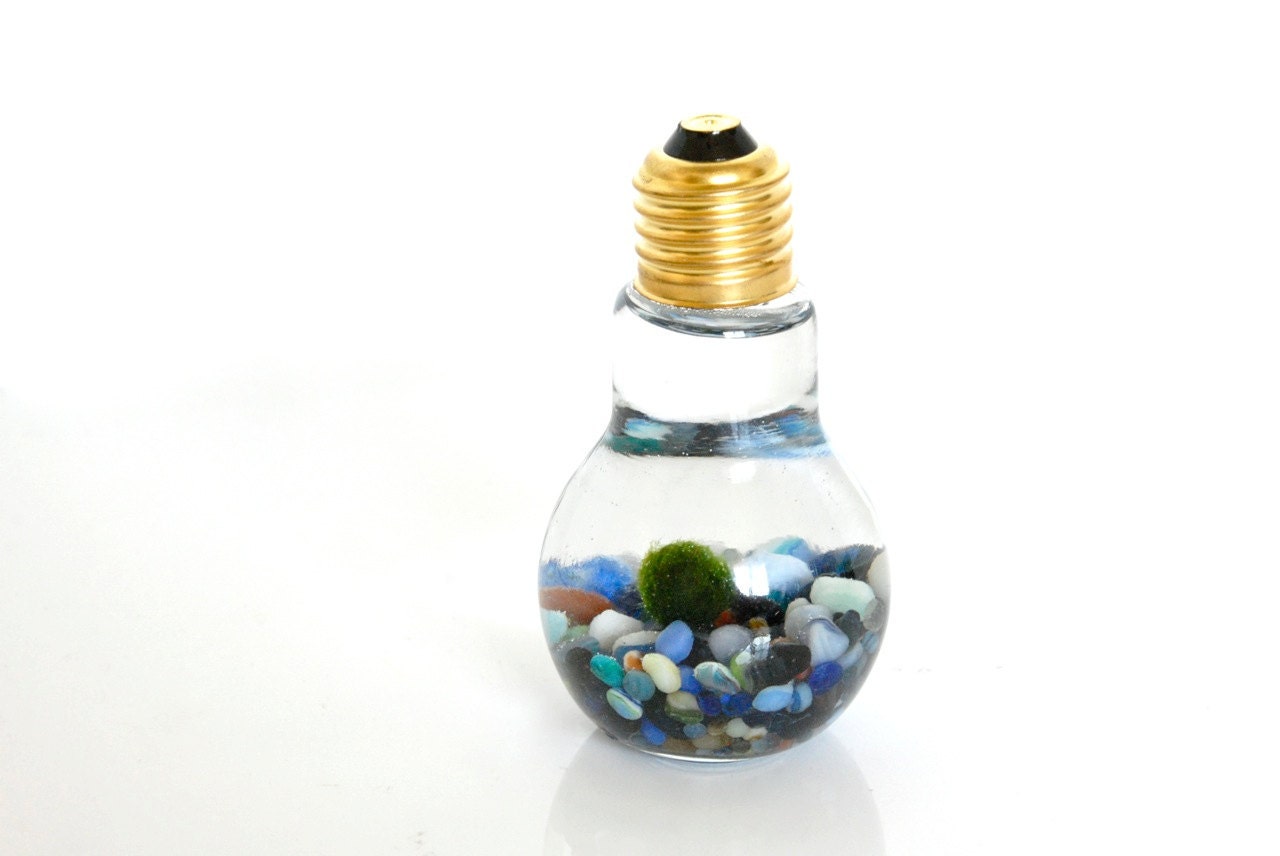Unique Marimo Moss Ball Light Bulb Aquarium Fun DIY Gift