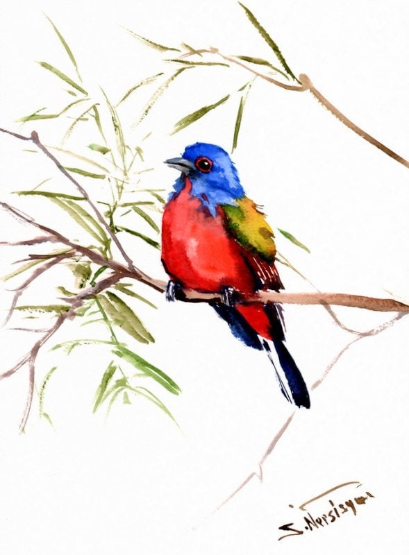 Painted Bunting Original watercolor painting by ORIGINALONLY