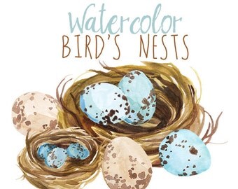 Watercolor Spring Clipart, Bird's Nest Easter Clip Art, Artistic Egg Painting, Watercolor Clip Art, Spring Clip art, Nest Illustration