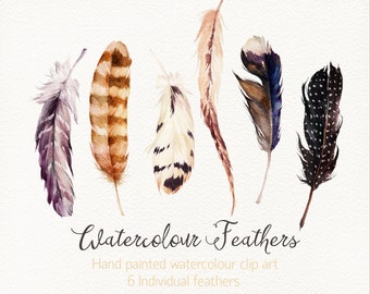 Watercolour Feathers /Hand painted watercolour clip art / Individual PNG files