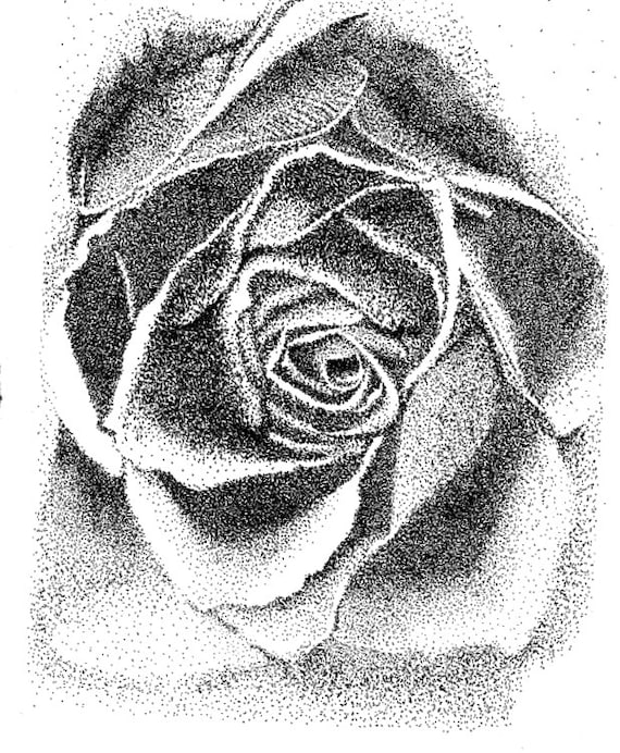 Items similar to Stippling Rose Print on Etsy