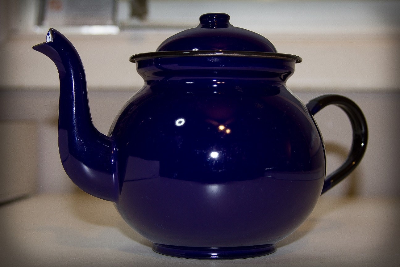 Blue Enamel Tea/coffee Pot from Poland Haute Juice