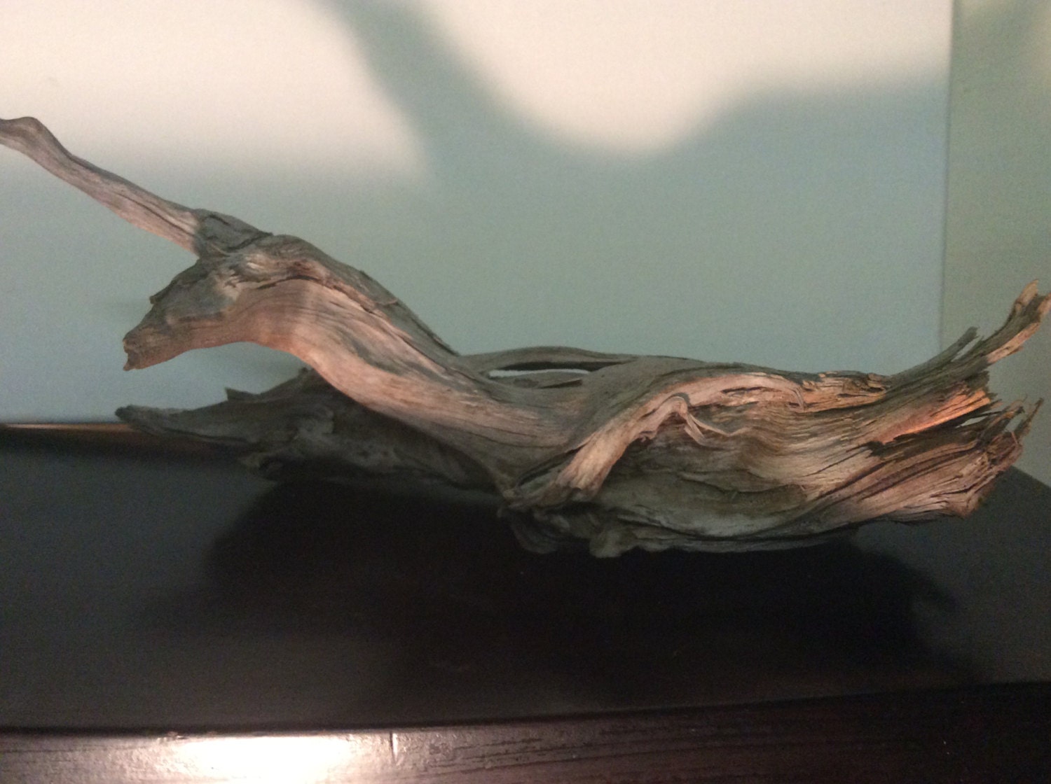 Manzanita driftwood Yosemite Aquarium centerpiece art natural