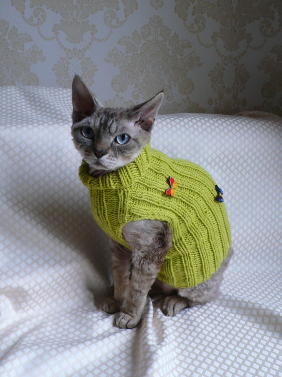 Handknitted cat sweater / / hand knitted by MrsMiauAndMrMurr