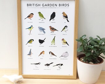 British Garden Birds print - wildlife wall art / nature illustrations / birdwatching chart / nature wall art / home gift / bird gift