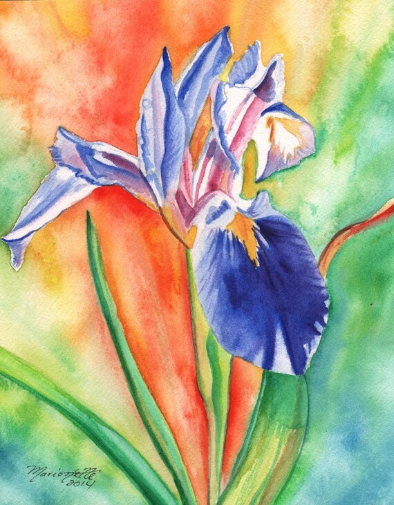 japanese iris japanese iris art original iris art iris