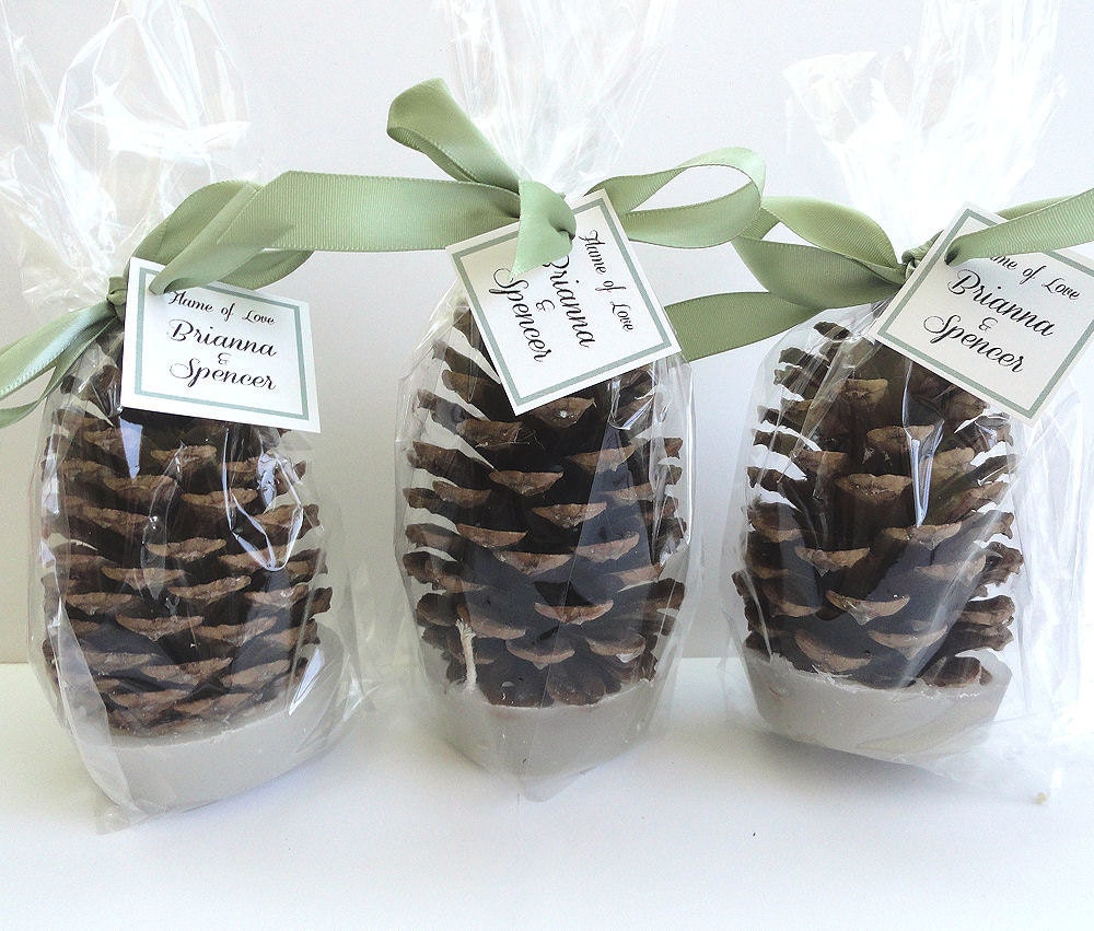 100 Pine Cone Fire Starter Winter Wedding Favors  by 