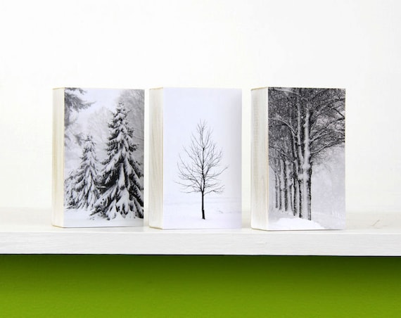 https://www.etsy.com/listing/207574339/christmas-decor-winter-white-trees-in?ref=teams_post