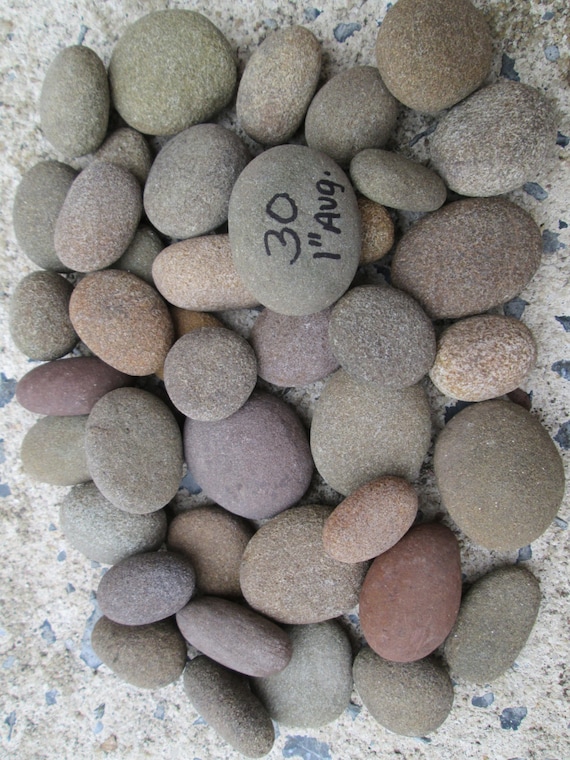 SALE Round and Rounded Small River Rocks Gnome Rocks Natural