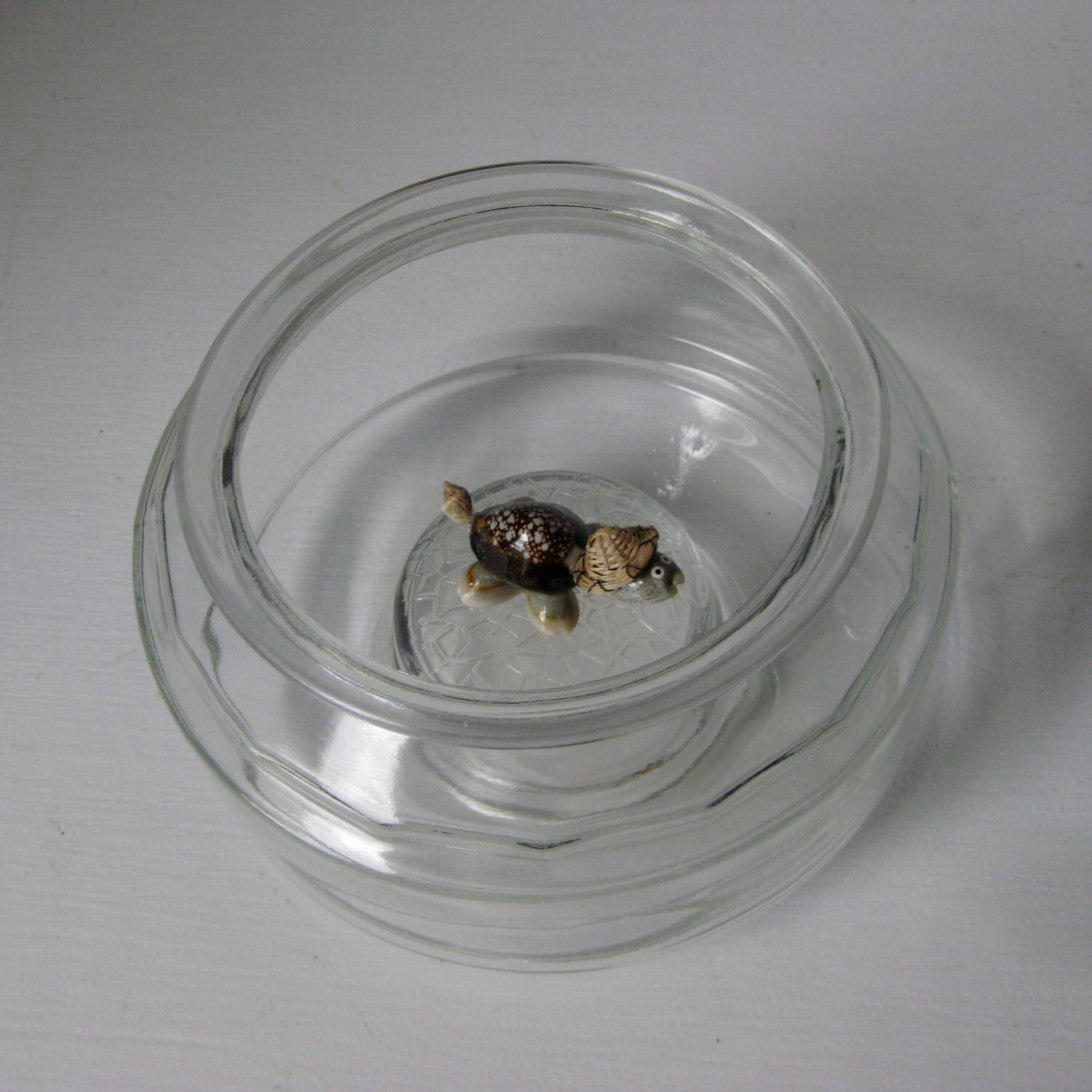 Mid Century Glass Pet Turtle Bowl