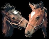 Two Horses New Friends Ladies Style Quality T-Shirt Free Shipping to USA Two Horses New Friends Ladies Style Quality T-Shirt Free Shipping to USA