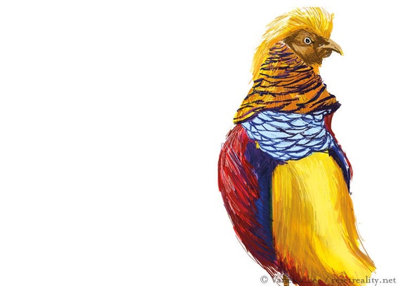 Golden Pheasant Print Bird Illustration Digital Drawing