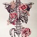 Bare Bones
