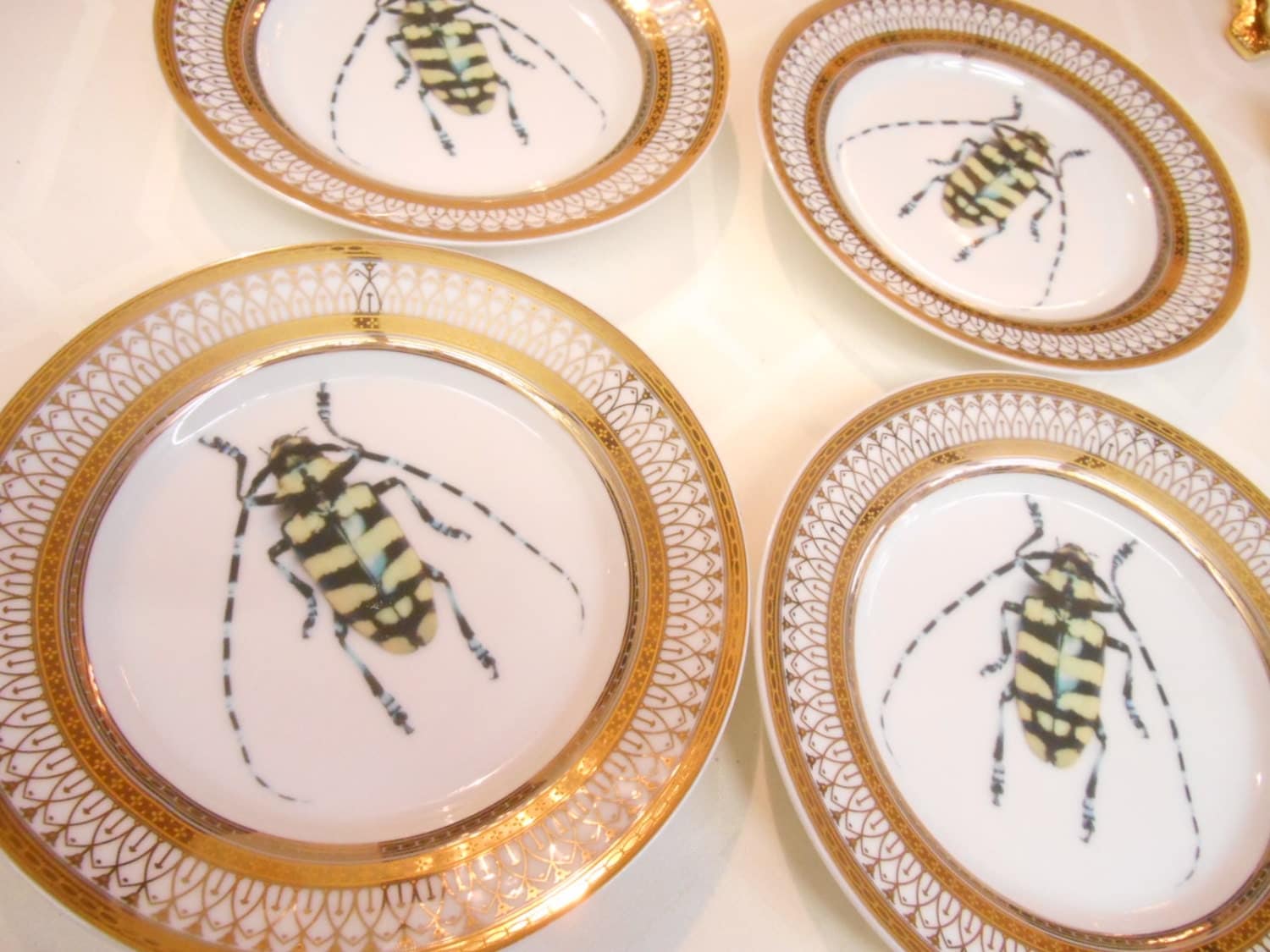 Rushshipping For Gita Gold Ornate Bug Salad Plates - Funky Dishes Custom Plates Custom Dinnerware Custom Porcelaincustom Tableware Customized Tablewaresilver Dinnerware Silver Dishessilver Plates rushshipping for gita gold ornate bug salad plates - funky dishes custom plates custom dinnerware custom porcelaincustom tableware customized tablewaresilver dinnerware silver dishessilver plates