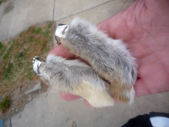 are lucky rabbits foot real