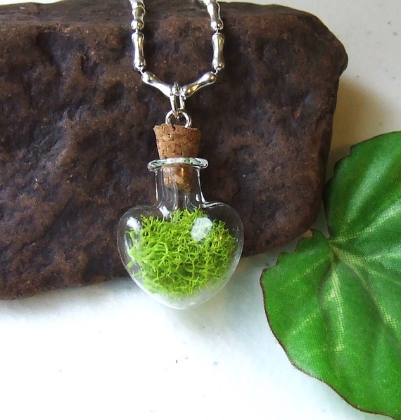 Terrarium Pendant Necklace Terrarium Necklace by NaturalWoodland