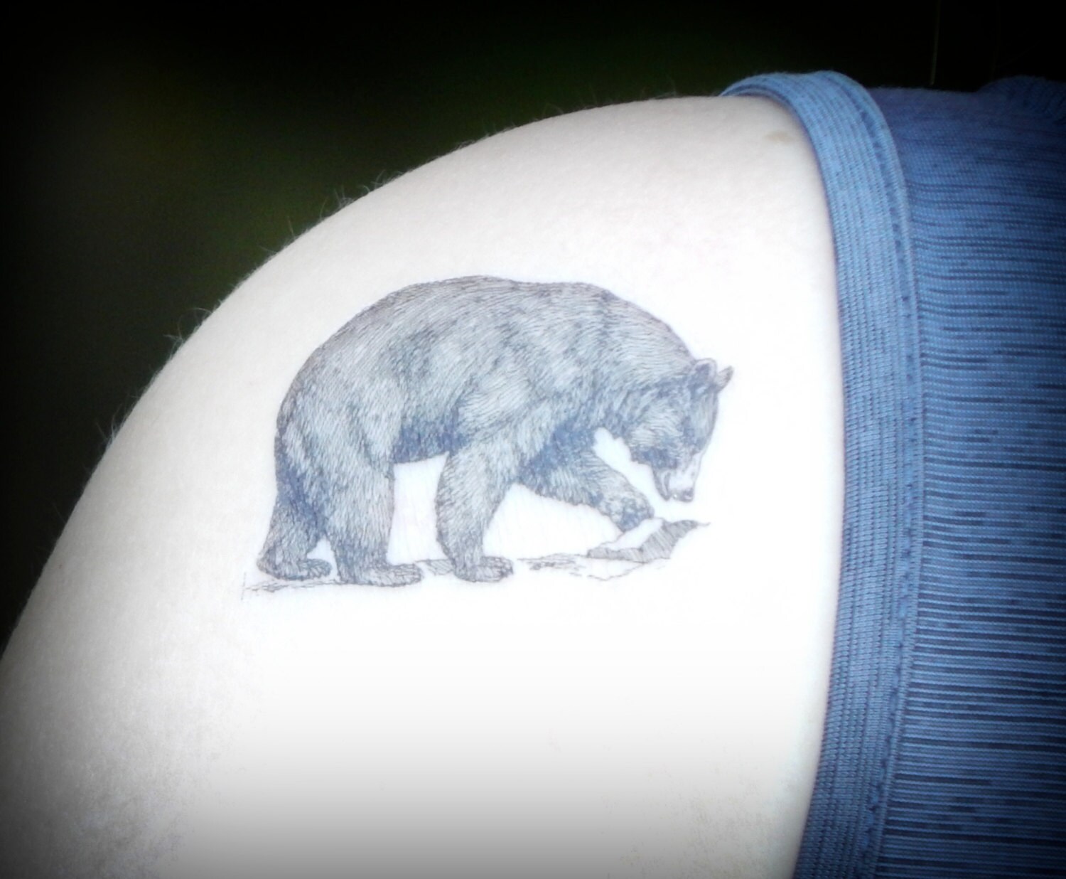 tempor 228 re tattoo b 228 r tattoo black bear wald natur tier tempor 228 re tattoo b 228 r tattoo black bear wald natur tier