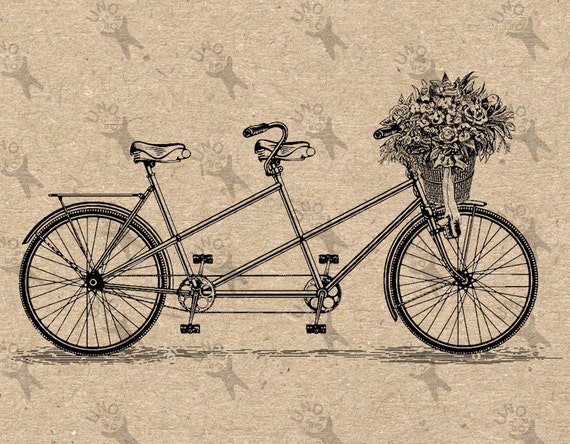 Alte Fahrrad Tandem Korb Blumen Bild Instant Download