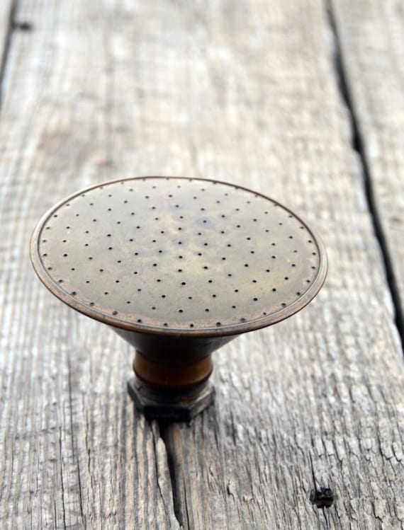 Watering Can Rose Vintage Brass Rose Vintage Garden Garden