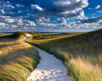 Large Beach Photography, Coastal Wall Print, Cape Cod Beach Artwork, Marthas Vineyard Dunes Path Photo, Nautical Wall Decor Blue Green Beige