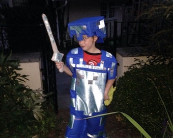 Minecraft Steve Costume with Full Details