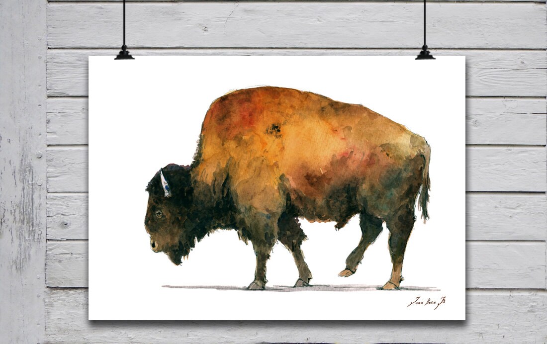 POSTER PRINT Buffalo Bison American Buffalo American