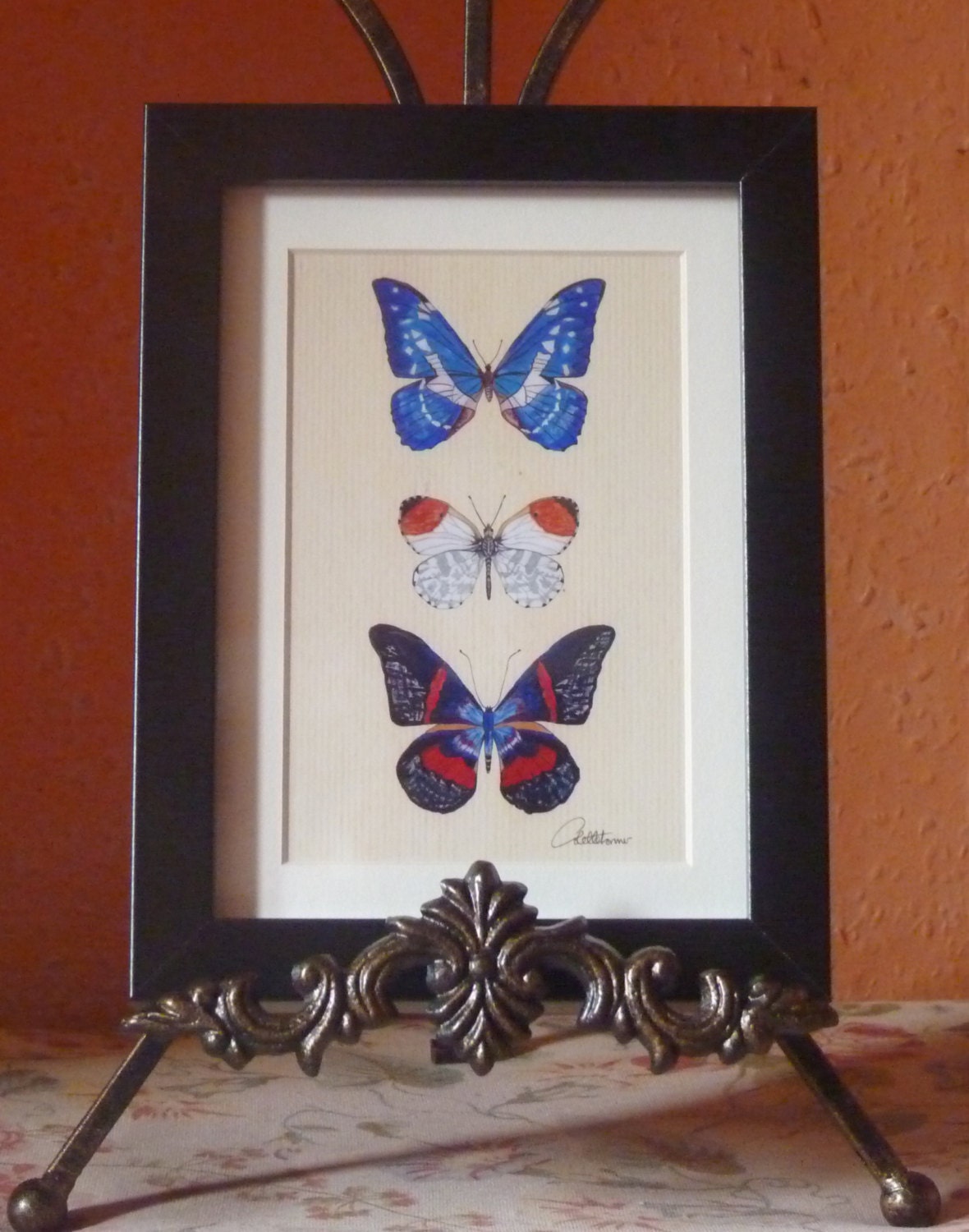 Butterfly Picture Butterfly Art Print Butterfly Framed Print 