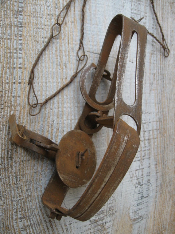Vintage Rustic Metal Animal Trap