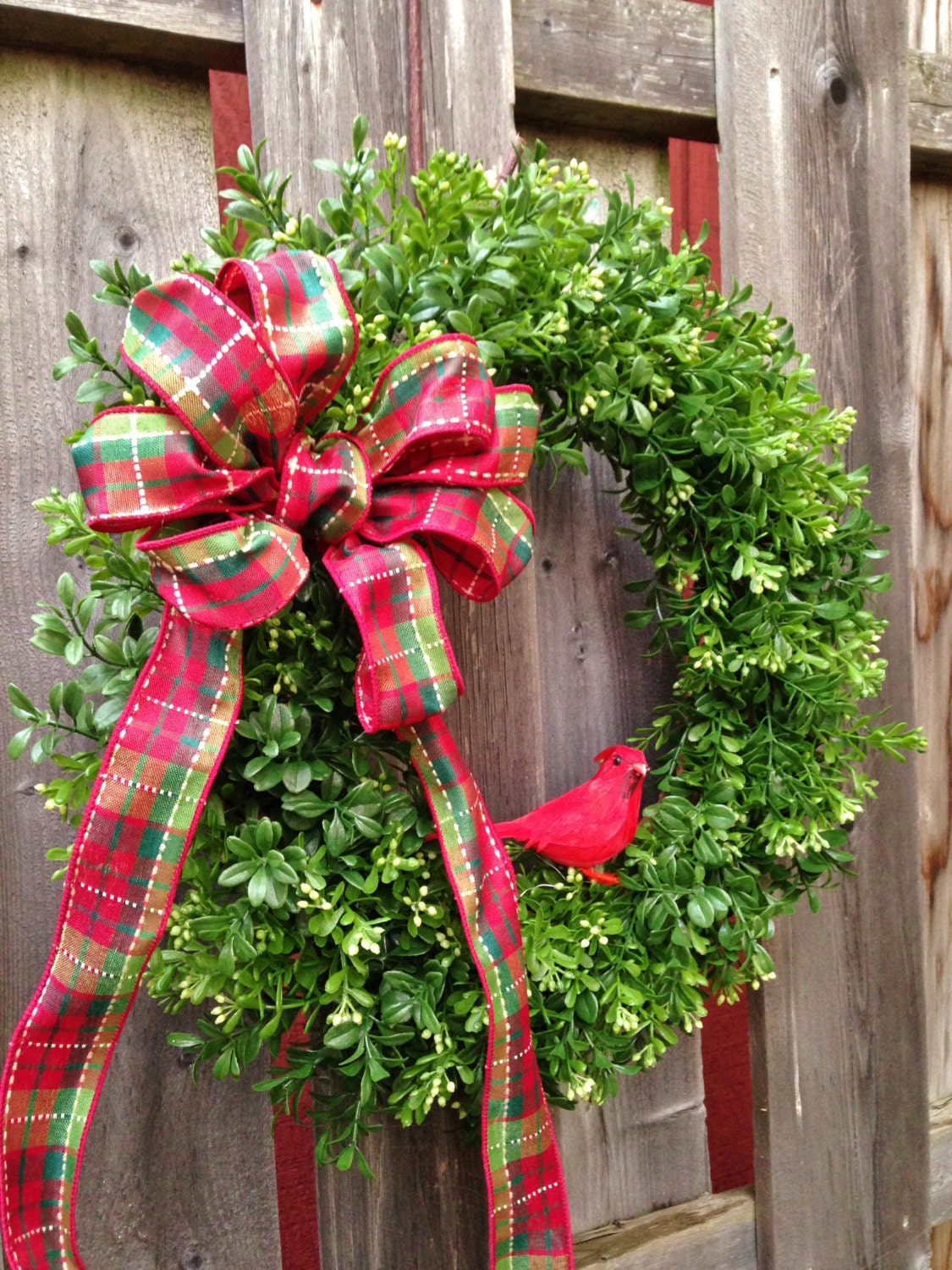 Boxwood Christmas Wreath 