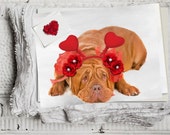 Dogue de Bordeaux Art Decor,  Dog Wall Art Print, Unique Gift, Colorful Painting, Fun Dog Poste, Animal Artwork, Heart Ears dog poster