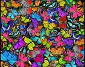 Butterfly Digital Paper - Digi Butterflies - Digital Butterfly Paper - Instant Download - Scrapbook Backgrounds - Commercial Use Papers Butterfly Digital Paper - Digi Butterflies - Digital Butterfly Paper - Instant Download - Scrapbook Backgrounds - Commercial Use Papers