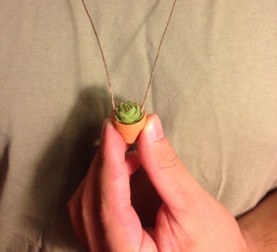 Succulent Planter Necklace | Wearable Live Plant | Small Succulent Included