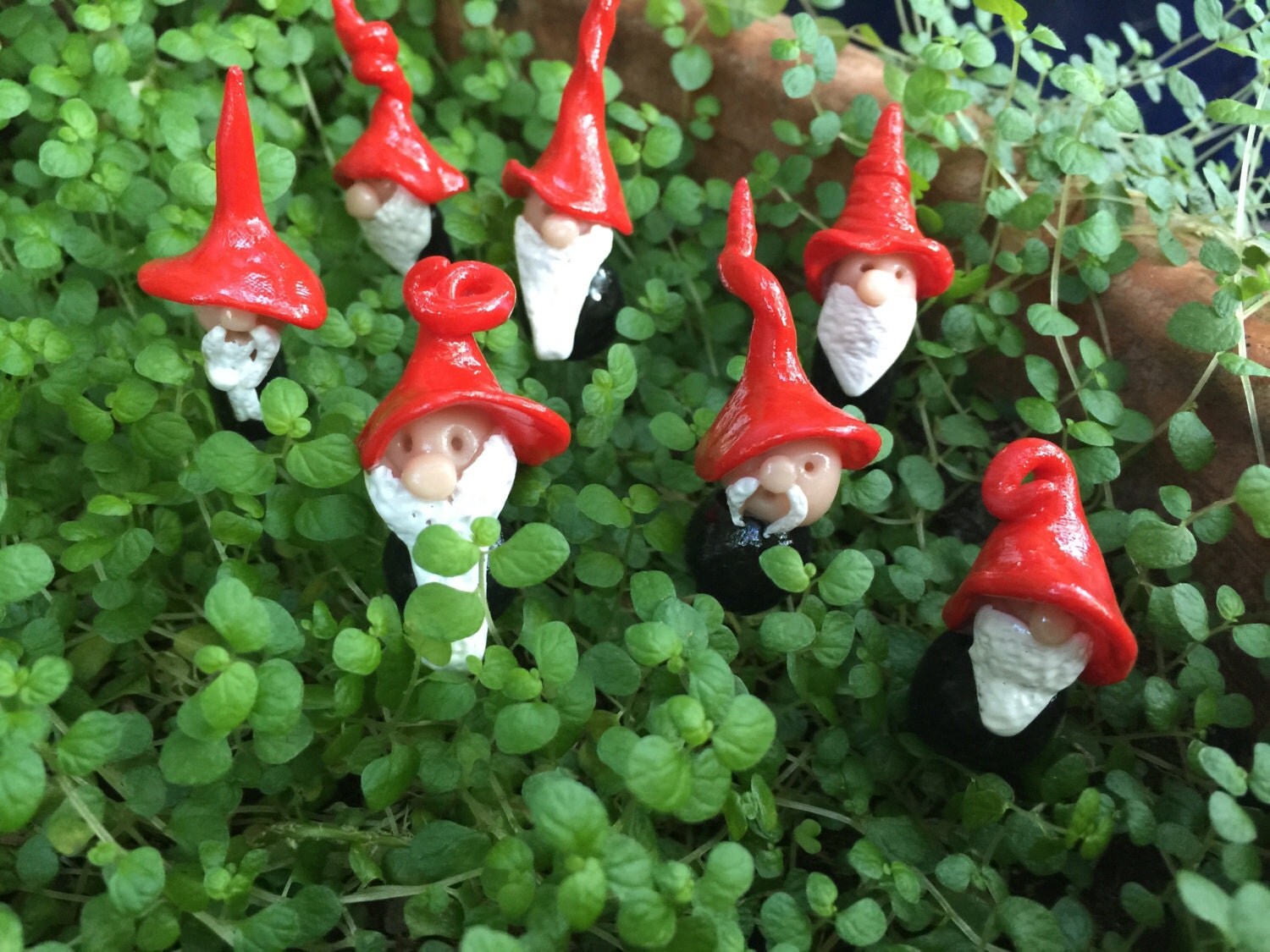 the seven dwarfs garden gnomes