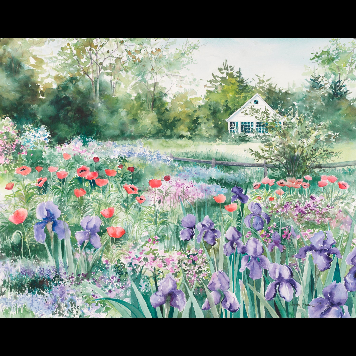 flower painting garden watercolor print Iris and Poppy