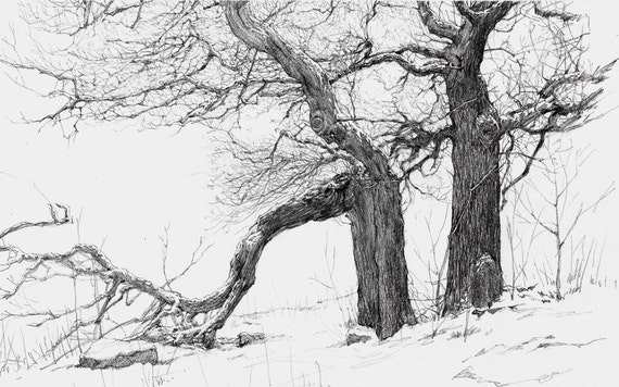 Original Forest Drawing Pencil Drawing Original by SeansSketch