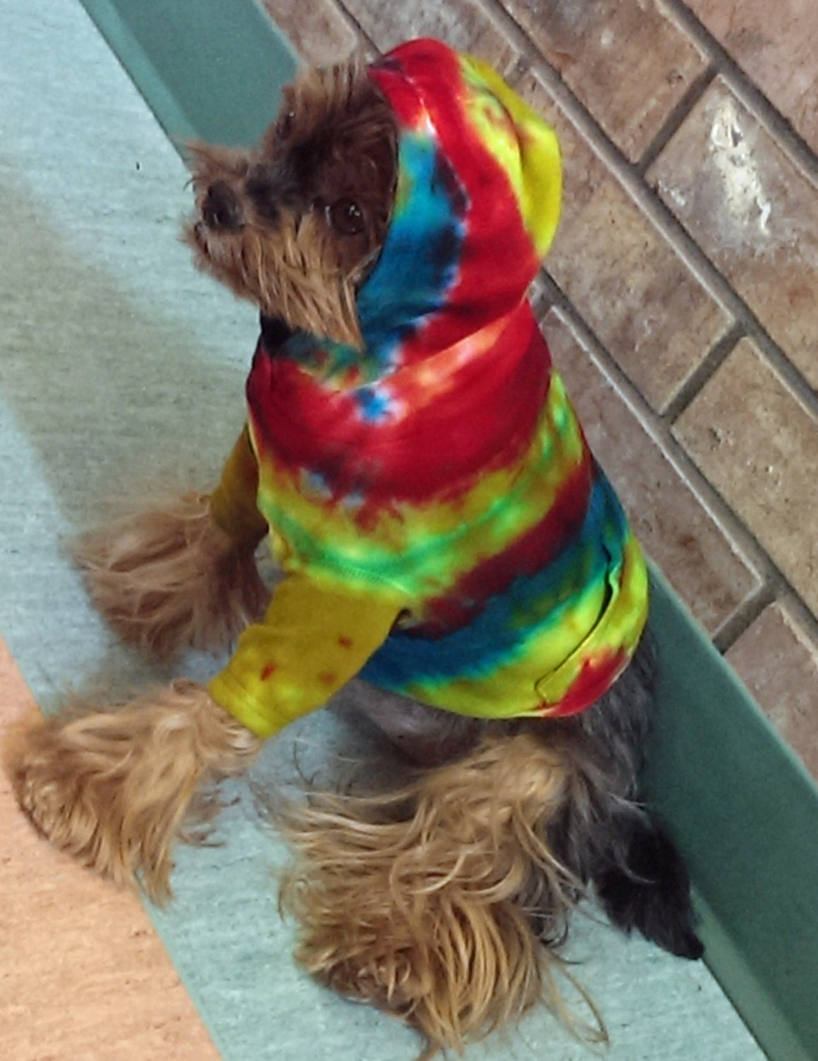 tie dye stuffed dog