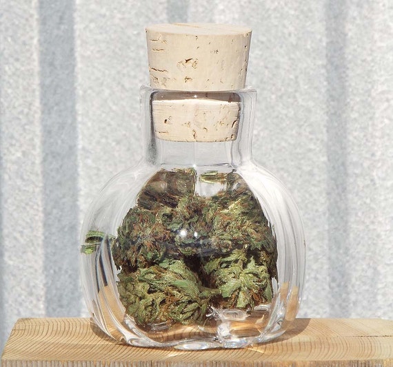 NUG JUG herb jar small clear hand blown glass by SeymourChevrons