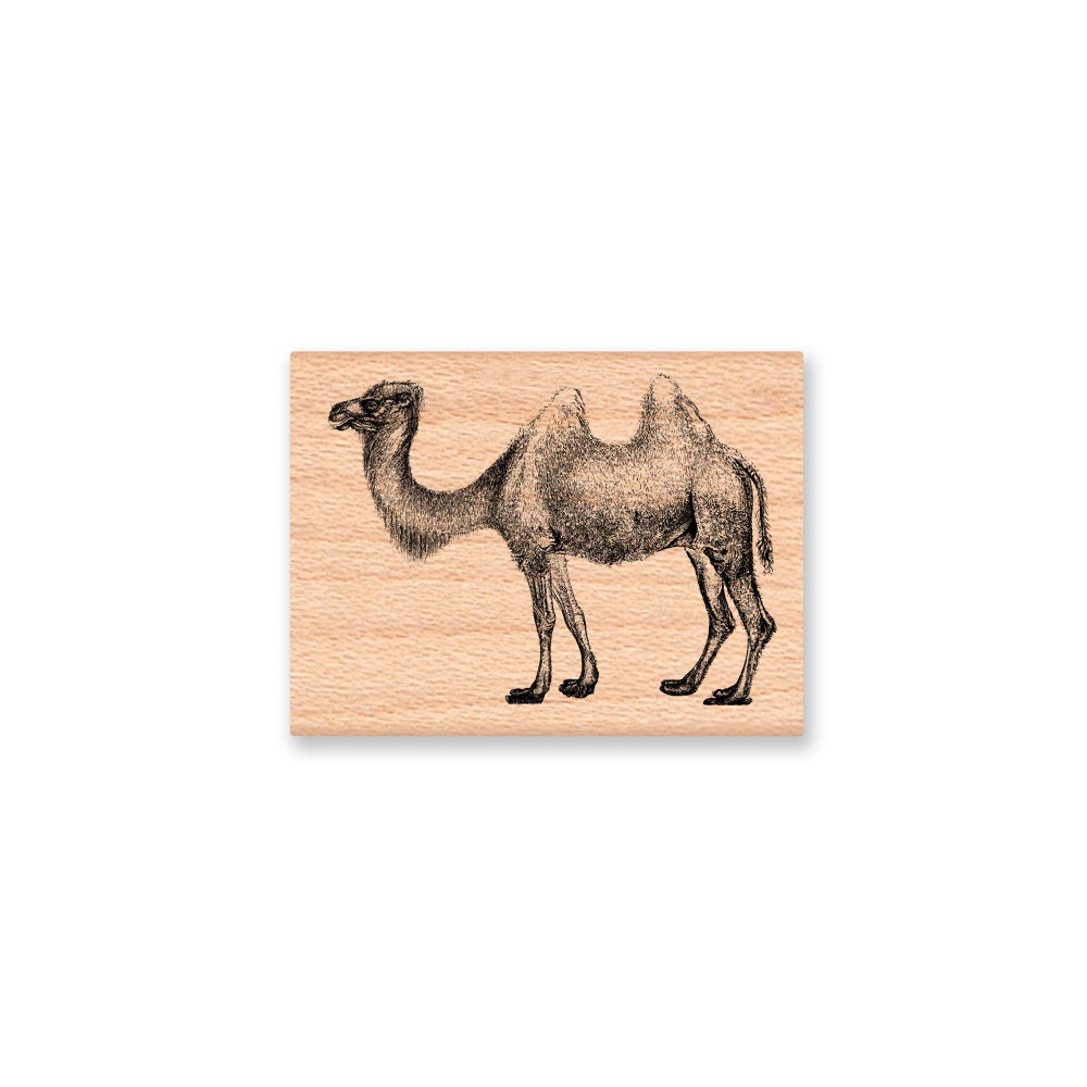 CAMEL-rubber stamp-wood mounted 30-26