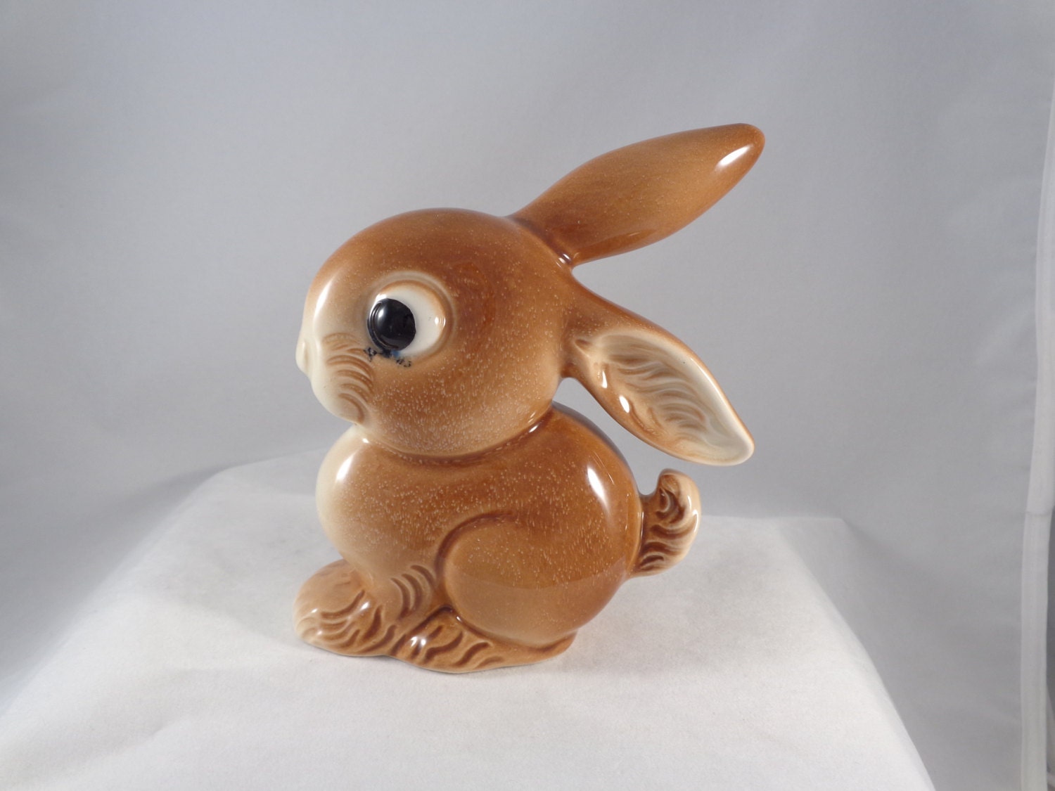 goebel brown bunny