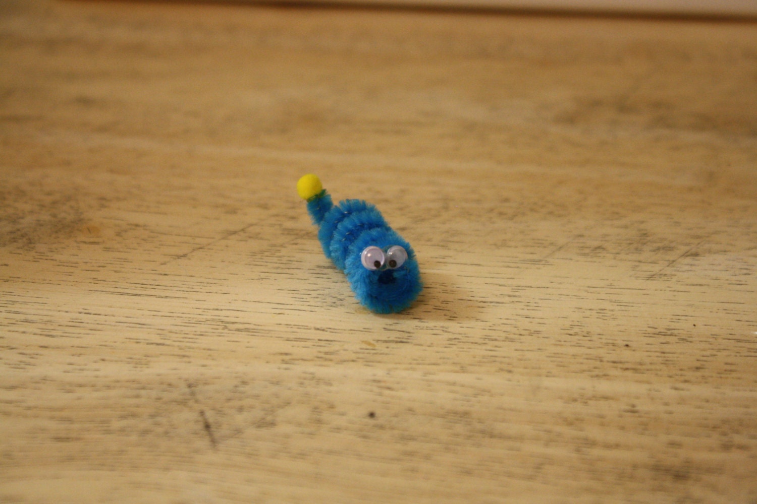 Pipe Cleaner Worm Craft Kits