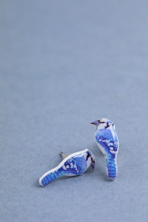 blue jay bird post earrings
