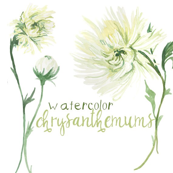 clip art chrysanthemum flowers - photo #20