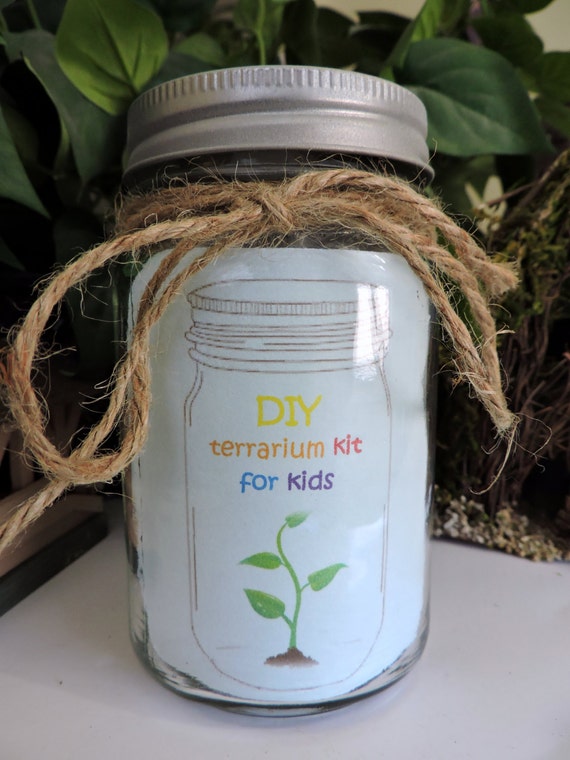 Make your own terrarium kit