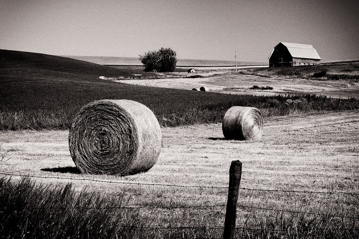 Hay Bales And Barn Photograph Rural Country Landscape Black Hay Bales And Barn Photograph Rural Country Landscape Black