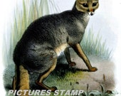 575 - Art, Art print, Joseph Smith, Animal art, Animal gift, Fox, Animal paintings, Animal pictures, Animal present, Animal print